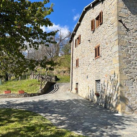 Il Casale Di Rolando Apartment Castiglione di Garfagnana Bagian luar foto