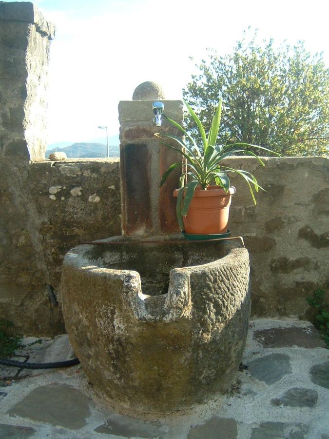 Il Casale Di Rolando Apartment Castiglione di Garfagnana Bagian luar foto