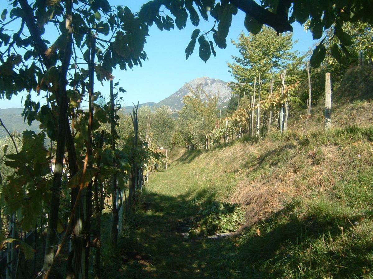 Il Casale Di Rolando Apartment Castiglione di Garfagnana Bagian luar foto