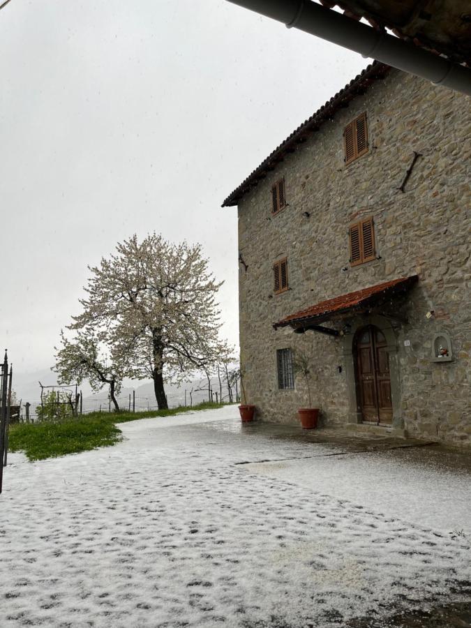 Il Casale Di Rolando Apartment Castiglione di Garfagnana Bagian luar foto