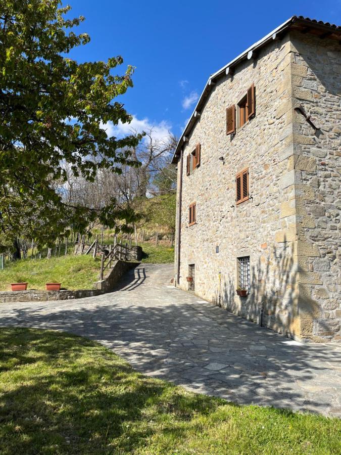 Il Casale Di Rolando Apartment Castiglione di Garfagnana Bagian luar foto